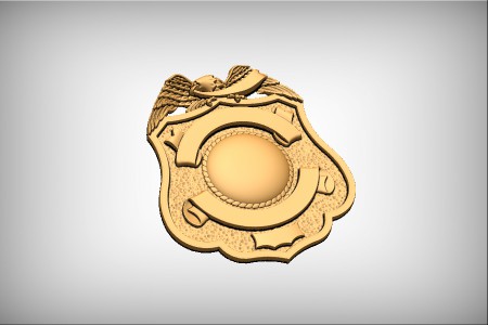 Fire/Police Badge 8