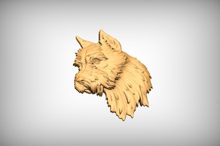 Cairn Terrier