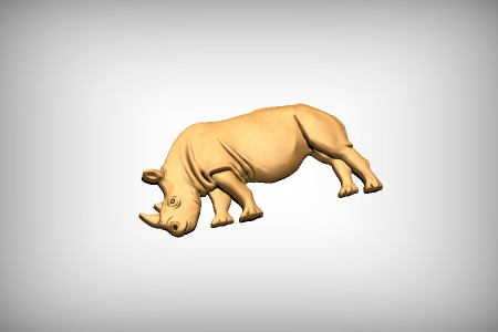 Rhino 