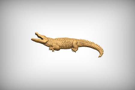 Crocodile