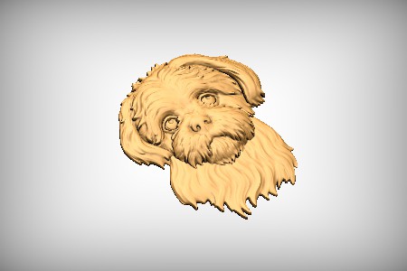 Shih Tzu