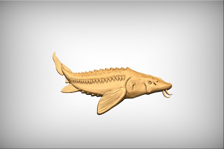 Sturgeon