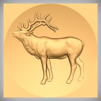 Elk
