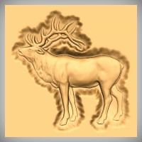 Elk