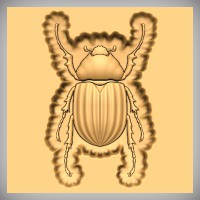 Scarab Beetle 1