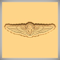 Flight Surgeon Wings