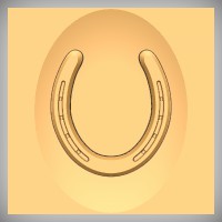 Horse Shoe 2