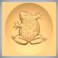 Frog 1