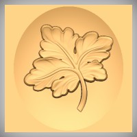 Flourish 291C
