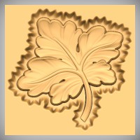 Flourish 291C