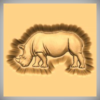 Rhino 
