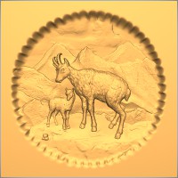 Ibex Scene