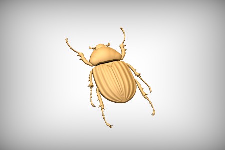 Scarab Beetle 1