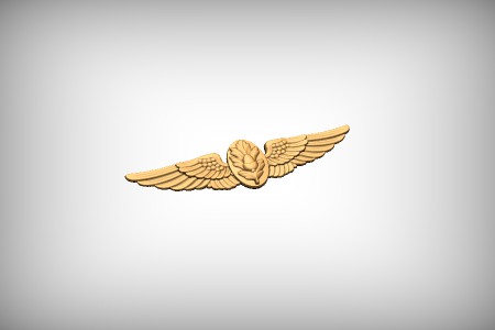 Flight Surgeon Wings
