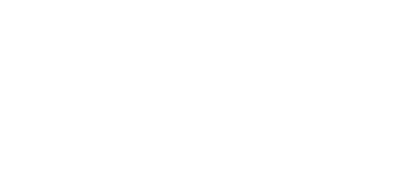 Executive Press Logo