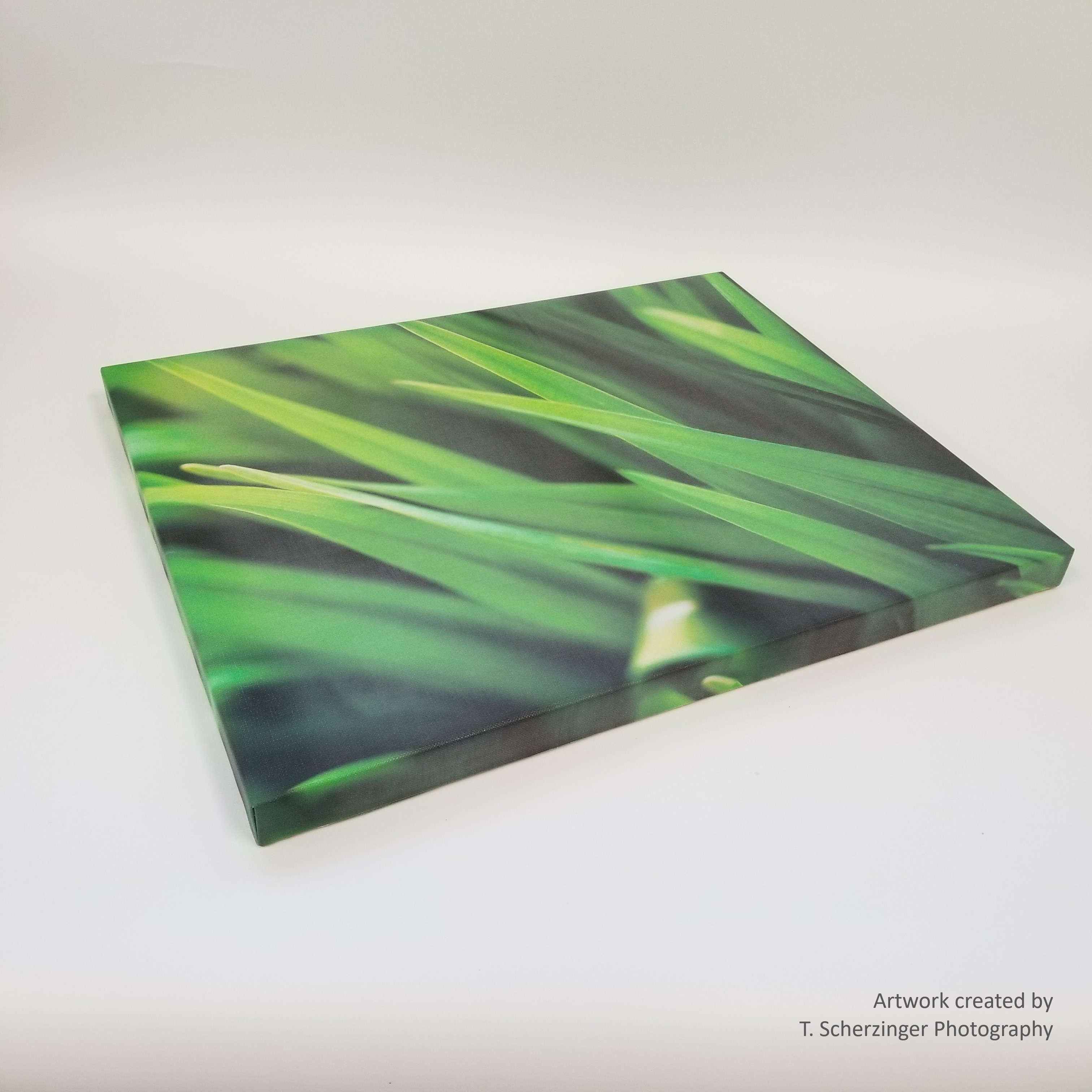 Canvas 10x10 - Standard Wrap