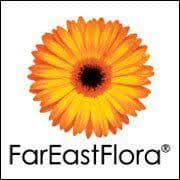 Fareastflora