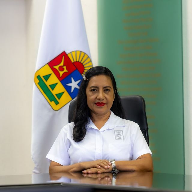 Imagen de referencia