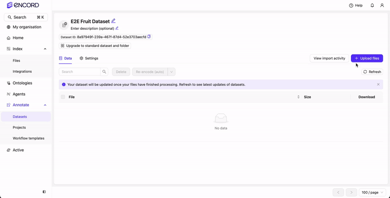 Import data to Dataset