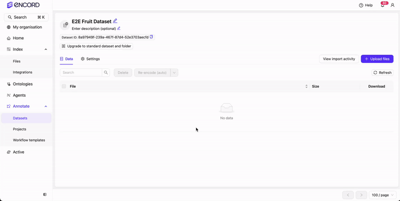 Import data to Dataset