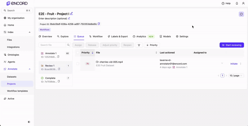 Review manual classifications on videos