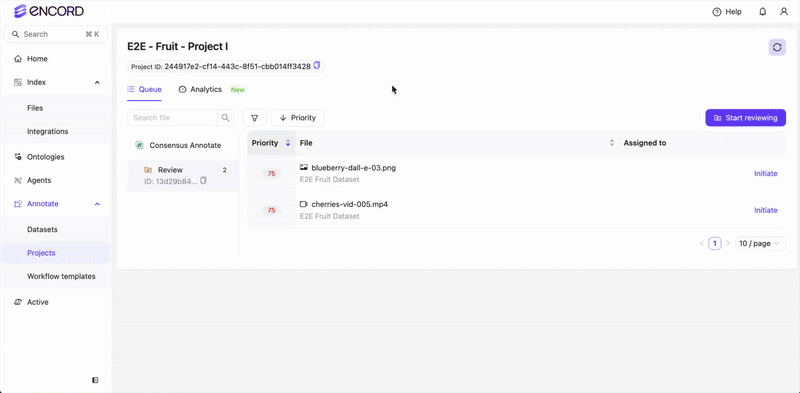 Review manual classifications on videos