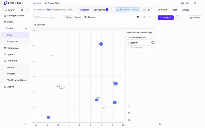 Custom Embedding