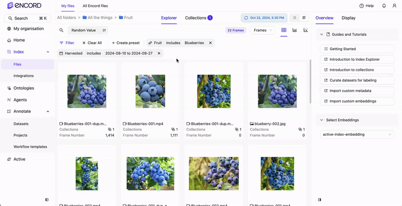 Create Collection in Index