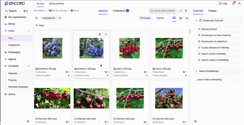 Create Dataset from Collection
