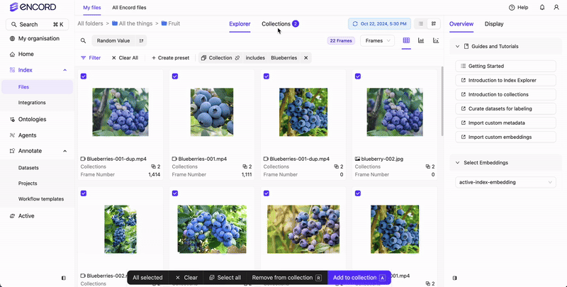 Create Dataset from Collection