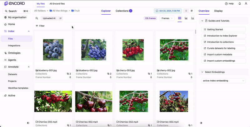 Filter by custom embeddings