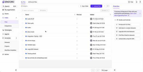 Manage Index Folder Permissions