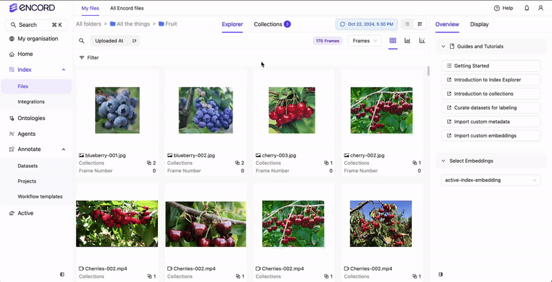 Filter with example