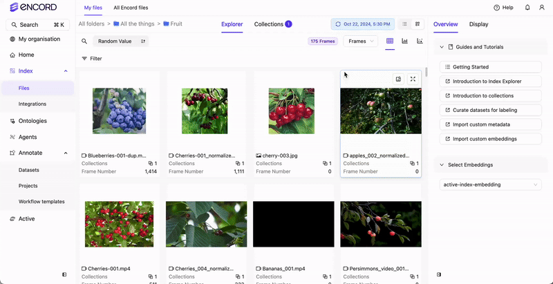 Similarity Search
