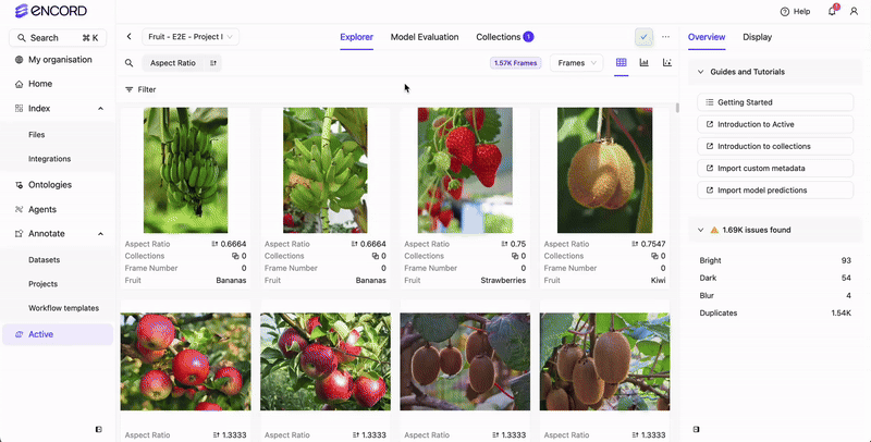 Create Label Collection