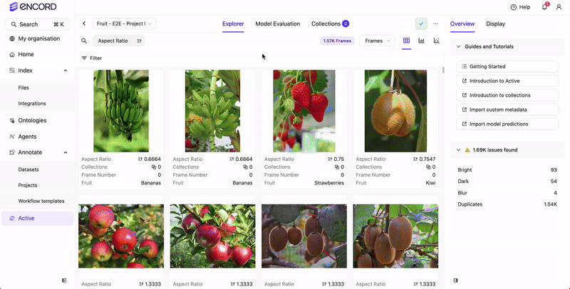 Create Label Collection