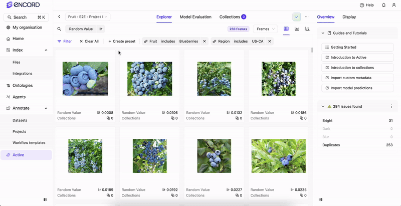 Custom Metadata Collection