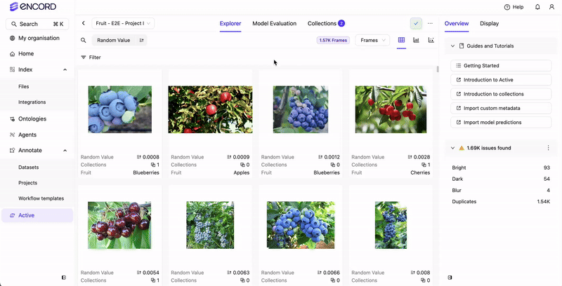 Data embeddings