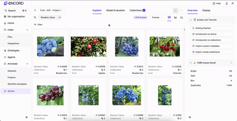 Label embeddings