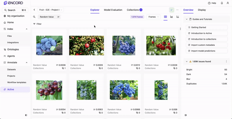 Filter with example