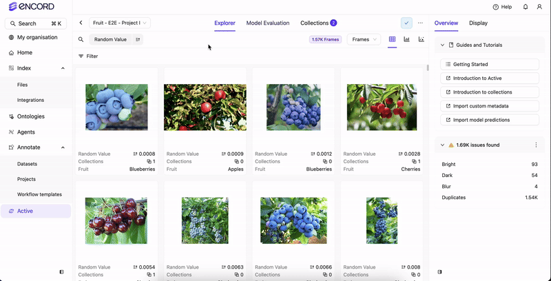 Natural Language Search