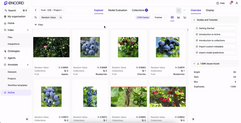 Duplicates filter