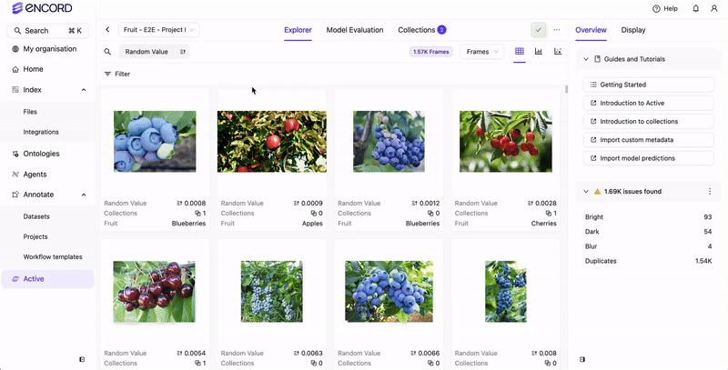 Filter with example