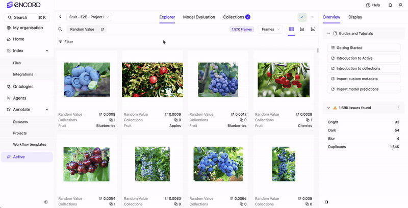 Video Label Quality Metrics