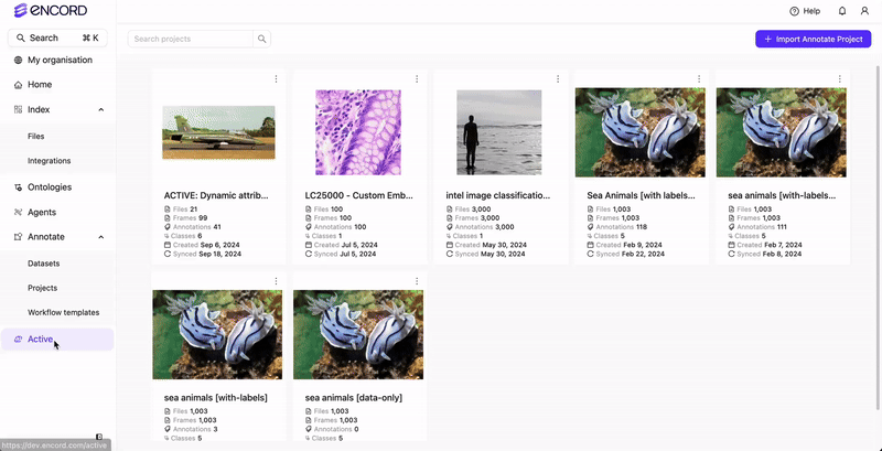 Import/Sync Annotate Project