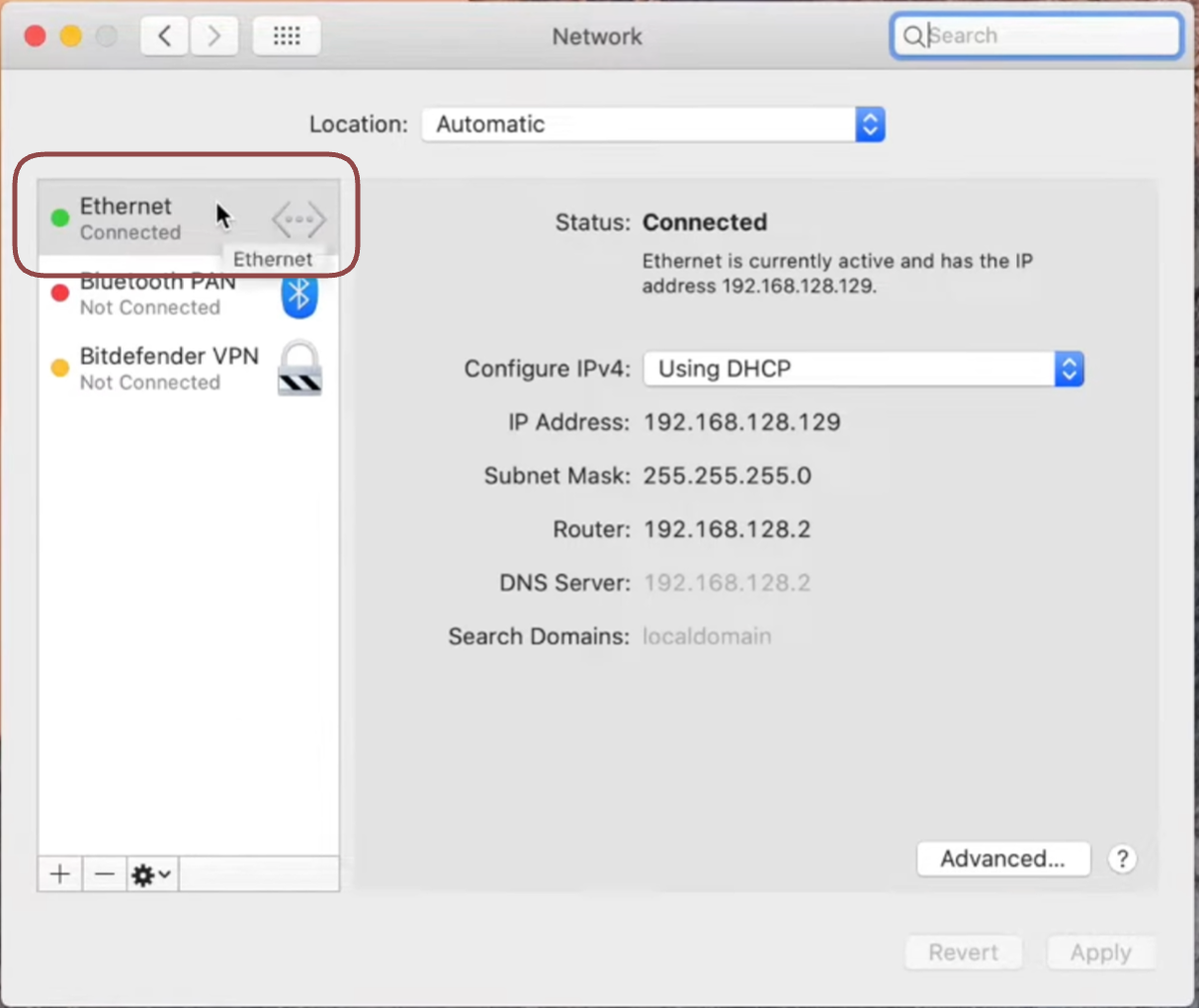 DNS issue