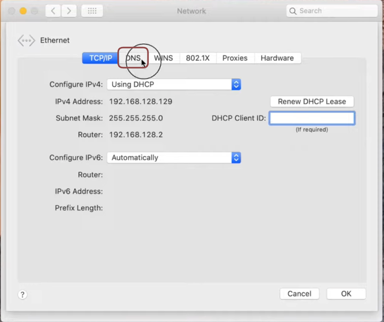 DNS issue