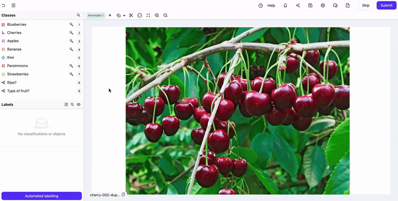 Grayscale filter with image/frame