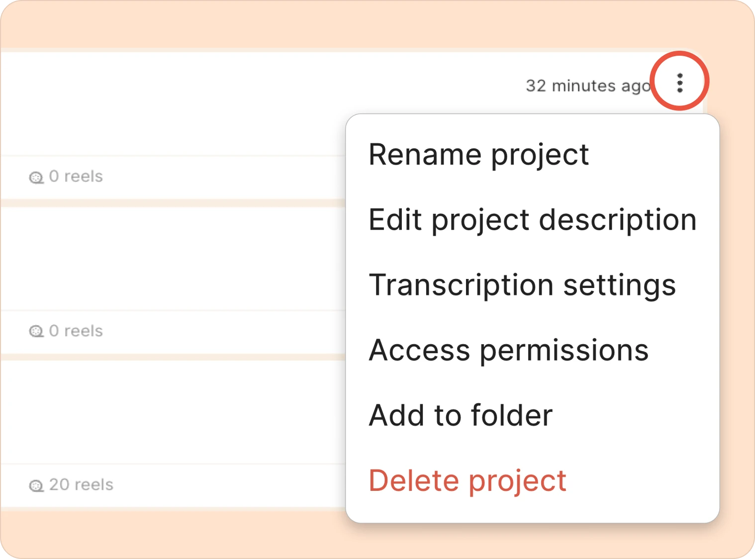 the different project options settings in Reduct