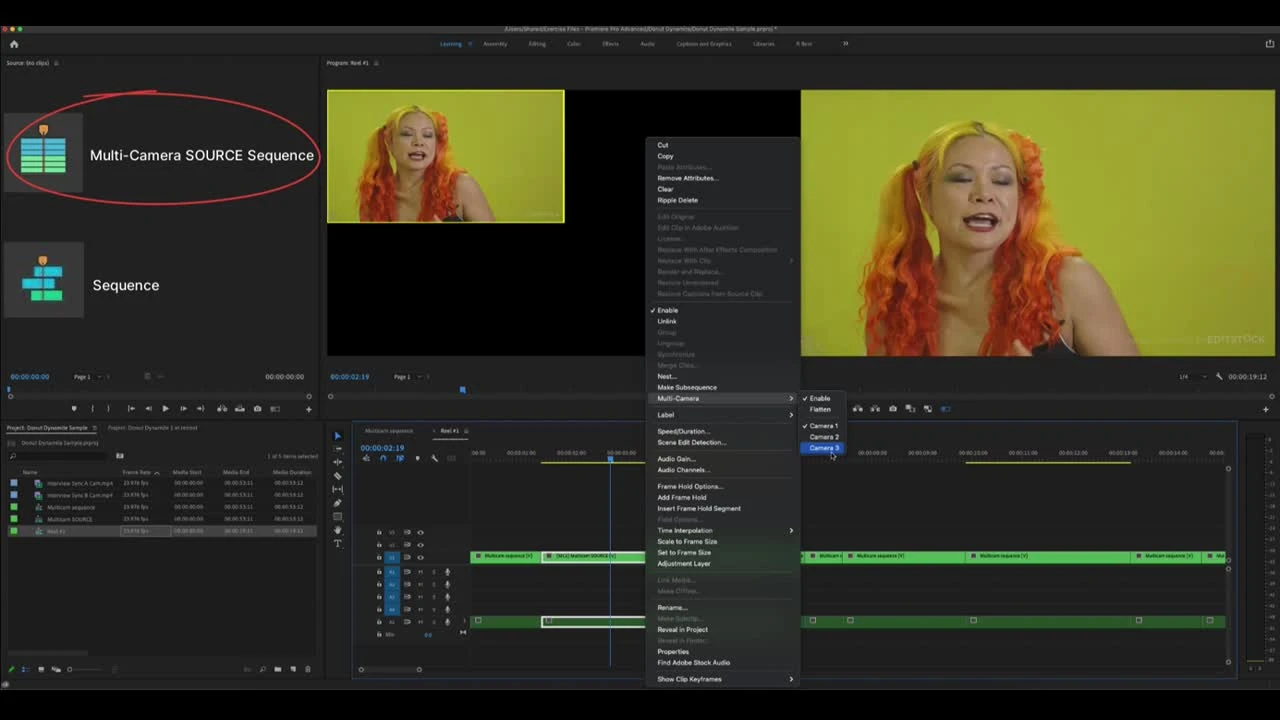 Linking to Multi-camera source sequences in Premiere